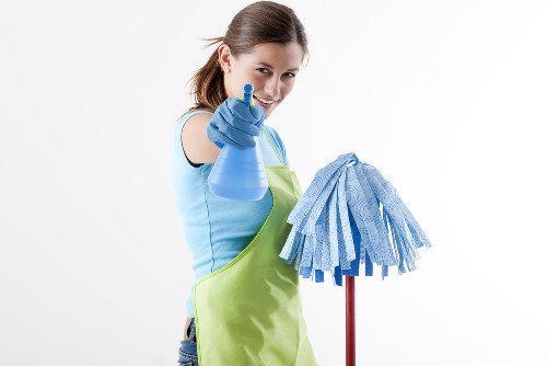 Image representing accessibility support for Merton Carpet Cleaners