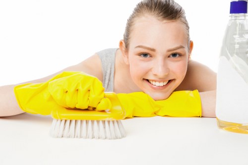 Odour removal treatment for a sofa affected by pet accidents