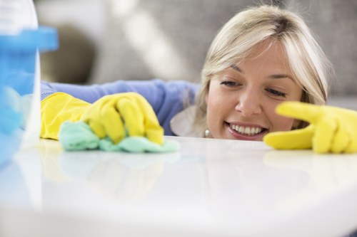 Low-carbon van used for eco-friendly carpet cleaning services