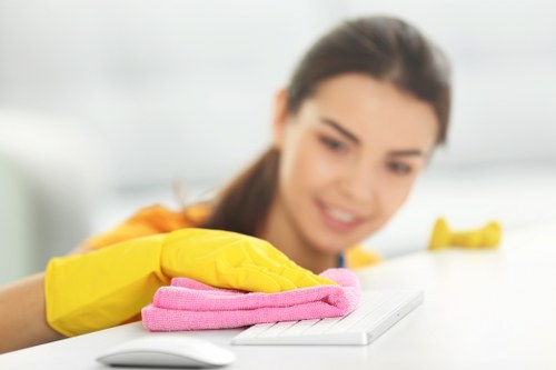 Deep carpet cleaning process in a busy Merton household