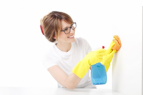 Deep mattress cleaning equipment used in a Merton property