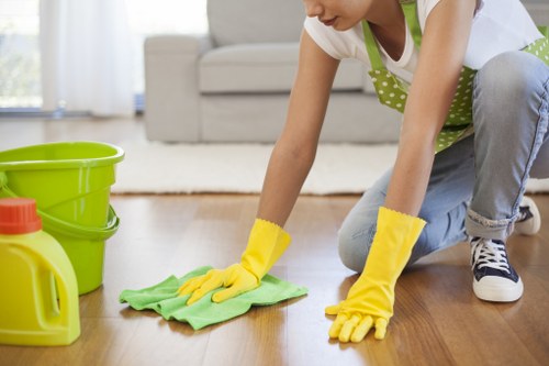 Cleaner inspecting a carpet before treatment in a living room
