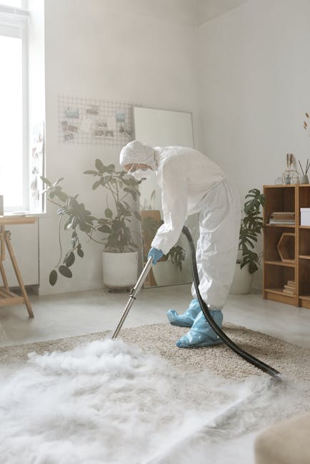 A person dressed in full protective cleaning gear, including a white suit, gloves, face mask, and shoe covers, is performing deep cleaning or sanitisation on a beige carpet in a bright, modern living room. The room features a large window allowing natural light, with potted plants, a wooden shelving unit, and a small table with a chair nearby. The individual uses a vacuum or extraction machine, ensuring thorough surface cleaning suitable for domestic hygiene maintenance. This scene exemplifies professional carpet cleaning services provided by Merton Carpet Cleaners on Kingston Road, aimed at restoring cleanliness and hygiene in residential settings.
