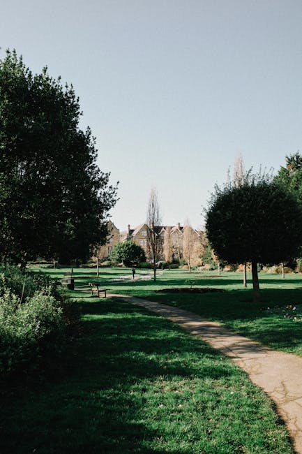 A paved pathway running through a well-maintained park with lush green grass and various trees, including large, rounded bushes and taller, leafless trees in the background. The park is bathed in natural daylight with soft shadows cast on the ground. Benches are visible along the walkway, and in the distance, residential buildings can be seen beyond the trees. The scene appears peaceful and clean, exemplifying outdoor space maintenance. This image is related to the services offered by Merton Carpet Cleaners, emphasizing cleanliness and surface freshness for residential and commercial environments, aligning with their end-of-tenancy cleaning and surface sanitisation offerings.